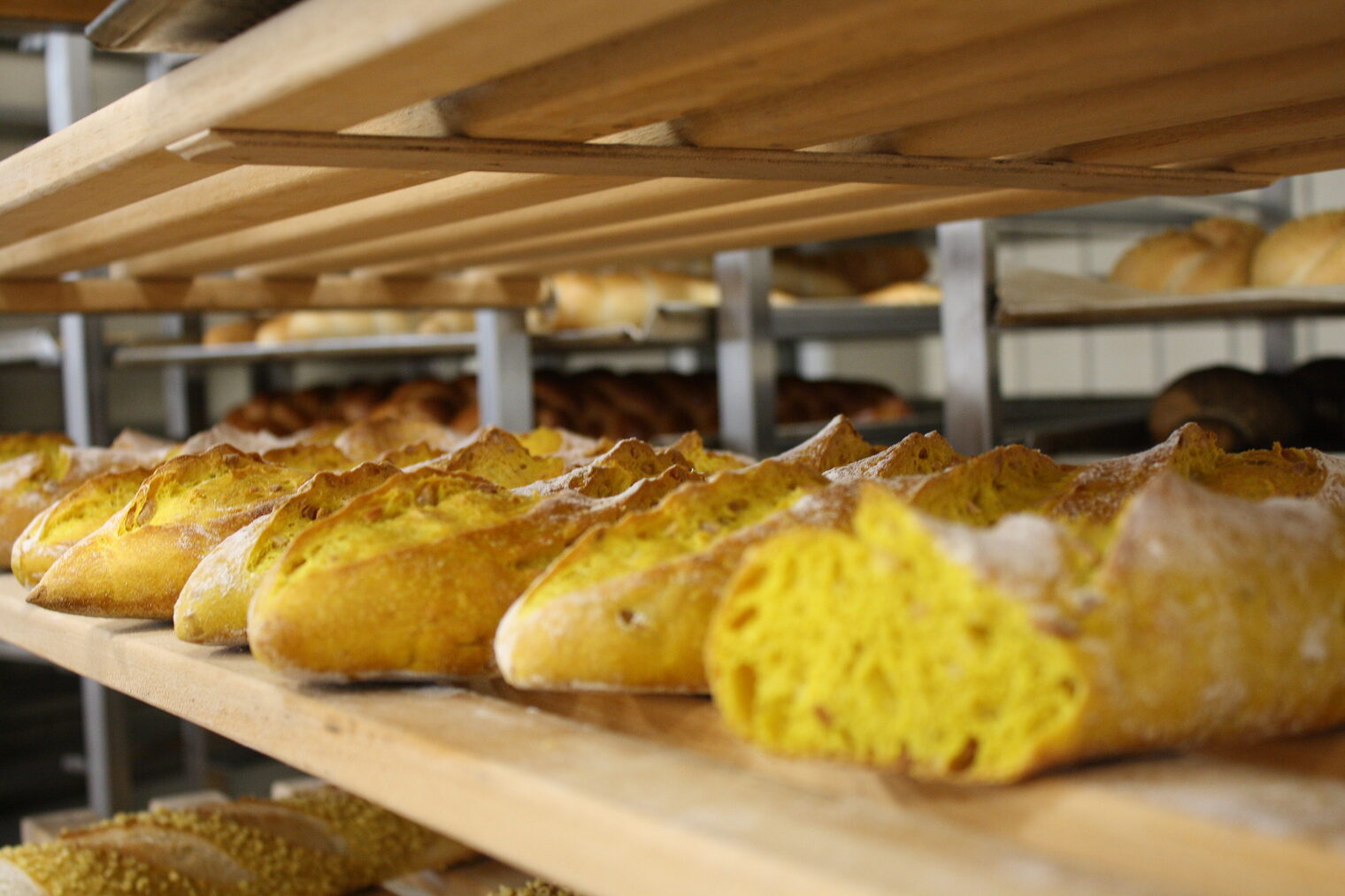 Meisterschule Bäcker 2019 im Bildungszentrum Würzburg Frischgebackene Baguettes liegen nebeneinandergereiht auf einem Backwagen.
